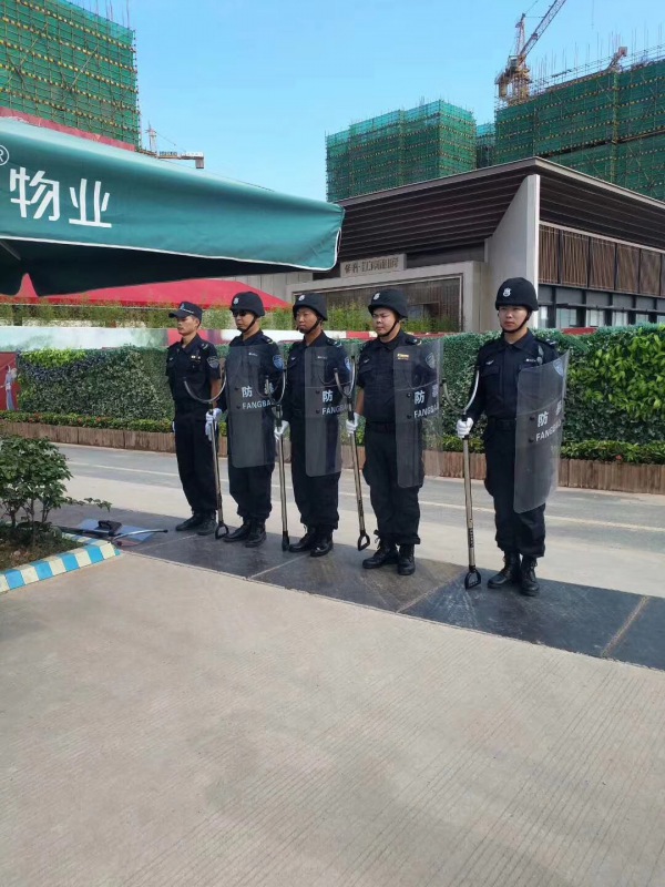 服務(wù)案例——保利和府(1)